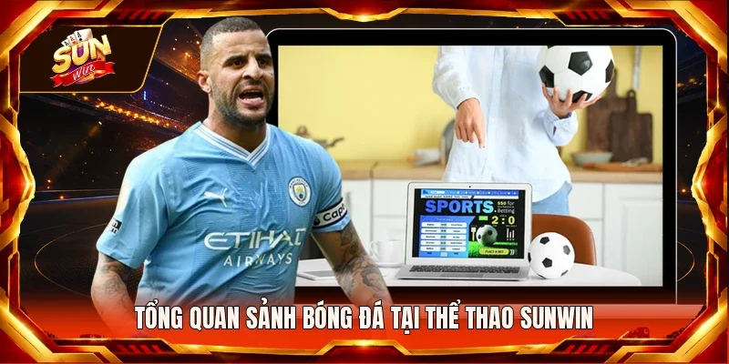 Tổng quan sảnh bóng đá tại thể thao Sunwin